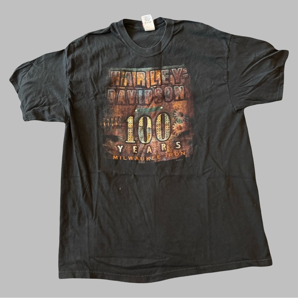 HARLEY DAVIDSON Men’s Vintage Tee